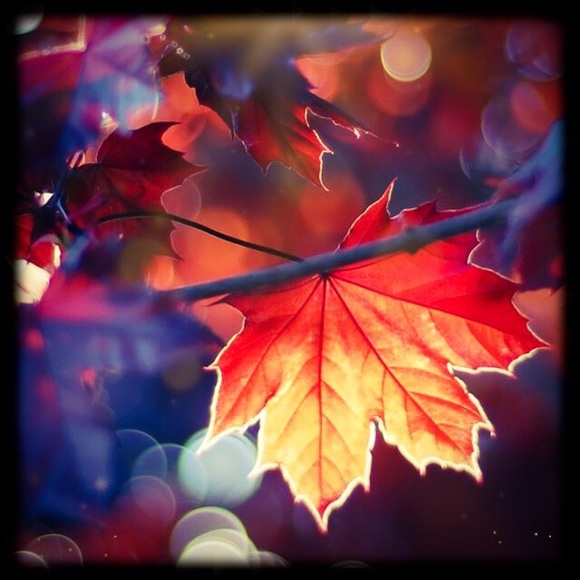 Meet your Posher, Valerie - Picture 1 of 1